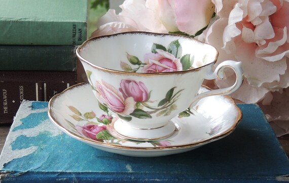 Royal albert 2025 anniversary rose