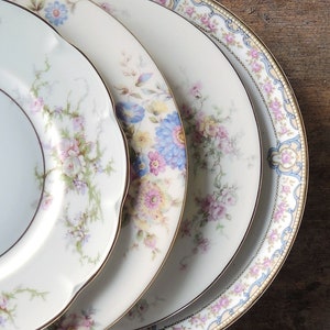 Blue Gold Pareek Tea Party Elegant Dinner Party Replacement China Cabinet Plate Johnson Brothers Pareek Dinner Plate