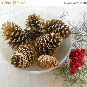 May include: A white bowl filled with gold painted pine cones. The bowl is sitting on a white surface with green sprigs and red berries.