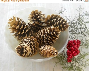 ON SALE Assorted Gold Pine Cones  Set of 6, Wedding Decor Inspired, Christmas Decor, Ornaments, Props, Farmhouse Decor,  Craft Supplies Proj