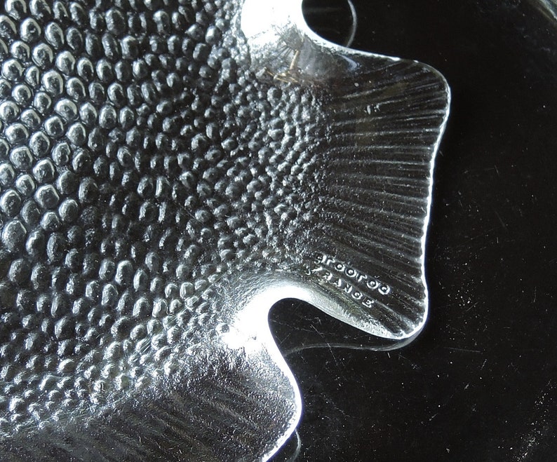 May include: A clear glass fish-shaped dish with a textured surface. The dish has a raised tail fin and the words "Broroo" and "France" are etched on the bottom.