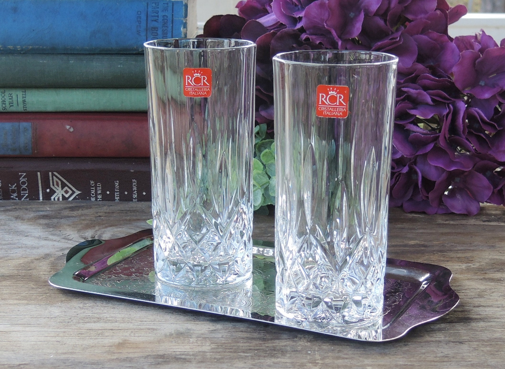 RCR Cristalleria Italiana Crystal Highball Glass, Tumbler, Drinking Glass  Etched