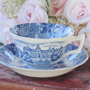 Skane Porcelain Blue and White Teacup Set Made in Sweden image 1