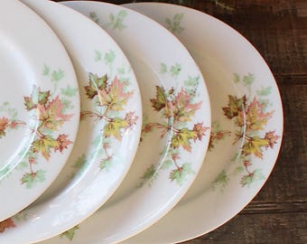 May include: Four white ceramic plates with a floral design of green, brown, and pink leaves. The plates are stacked on top of each other.