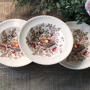 Johnson Brothers Pomona Brown Multicolor Rimmed Soup Bowls Set of