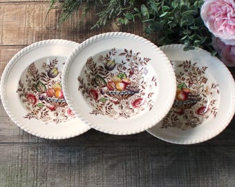Johnson Brothers Pomona Brown Multicolor Rimmed Soup Bowls Set of 3 Brown Transferware Windsor Ware
