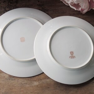 Vintage Inigualado Noritake Ensalada Placas Set de 4, Platos de Almuerzo para Bodas, Reemplazo de China, Fiesta de té nupcial, Regalo de dama de honor imagen 6