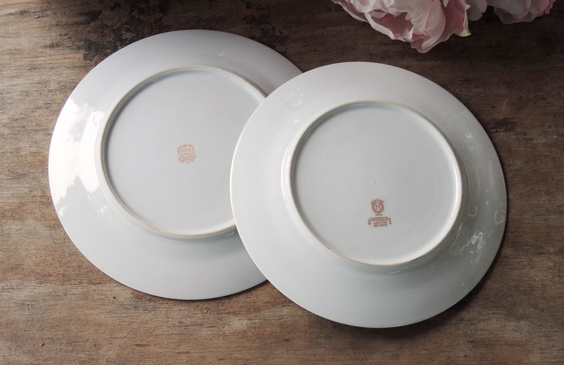 Vintage Mismatched Noritake Salad Plates Set of 4, Lunch Plates for Weddings, Replacement China, Bridal Tea Party, Bridesmaid Gift afbeelding 6
