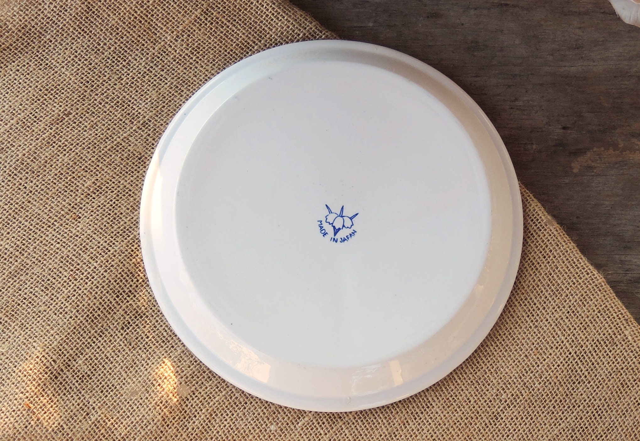 Blue willow divided plates sale