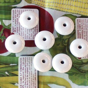 May include: Close-up of ten white ceramic seed beads with a hole in the center. The beads are arranged in a circle on a green and yellow patterned surface. The image includes text about different types of seeds, including pea, corn, and stringless bean.