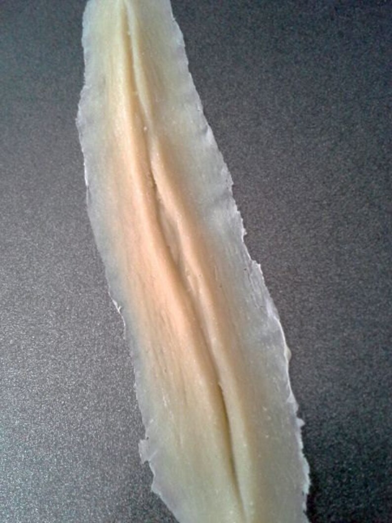 Slit SFX Latex prosthetic wound Paint Options Available Etsy