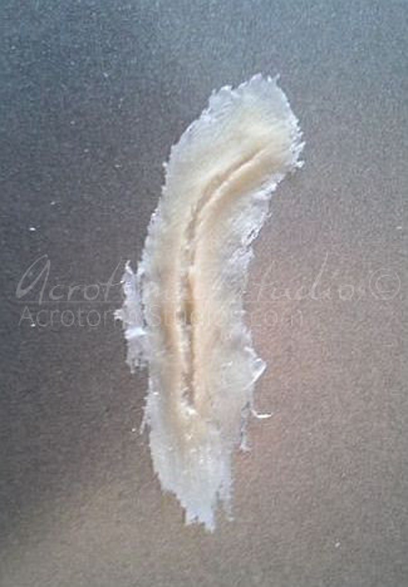 Cut SFX Latex Prosthetic Wound Paint Options Available Etsy