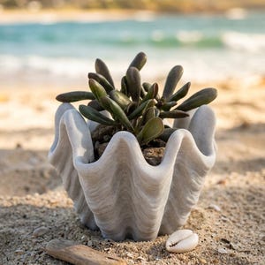 6 Inch Clam Shell Planter - 3D Printed