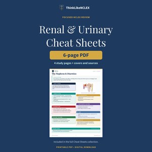 Pode incluir: Um download digital em PDF de 6 páginas intitulado Renal & Urinary Cheat Sheets da ThinkLikeNCLEX. O documento apresenta uma página de estudo sobre The Nephron & Diuretics com seções codificadas por cores, texto médico e um diagrama.