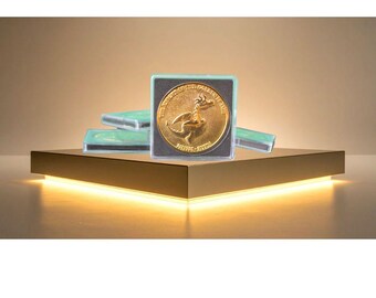 The Brave Coin | Collectible Courage Token | Inspiration for Kids | Book Companion