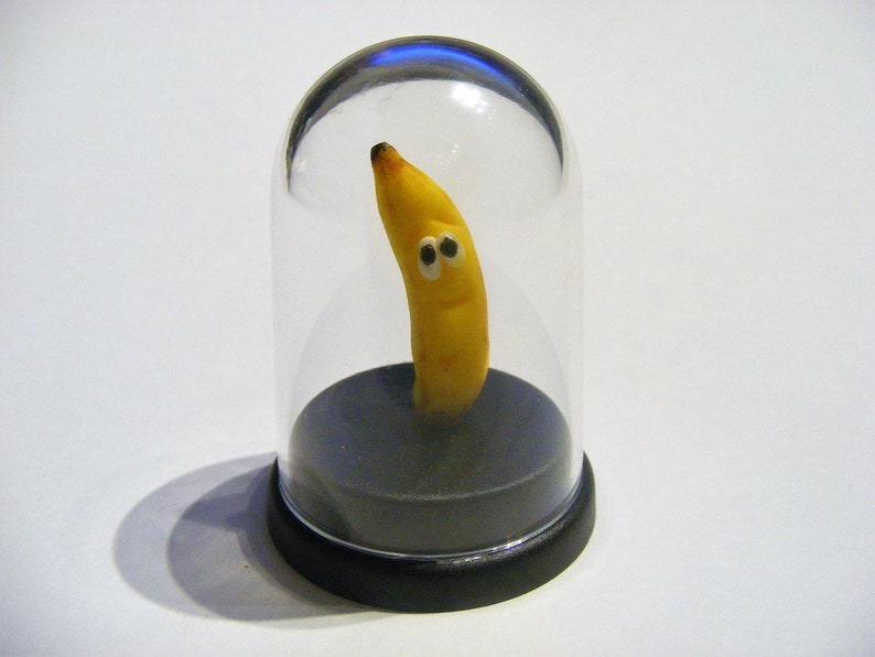 A Pet Banana by Othen Donald Dale Cummings
