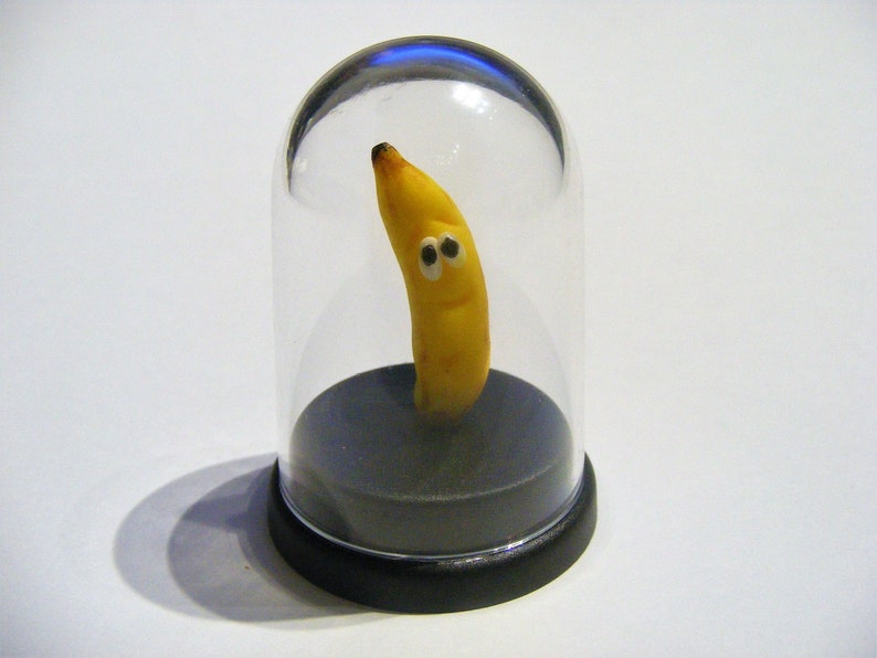 Banana Pet © Banana Gift Fruit Gift Vegetarian Gift Vegan Etsy
