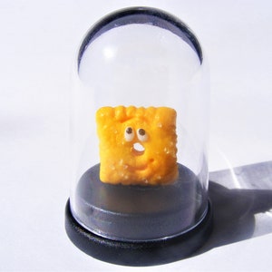 Cheese Cracker Pet © Cracker gift, Cheez lover gift, comedy gift, novelty gift, dashboard gift, humorous gift, desk top gift, Funny gift image 3