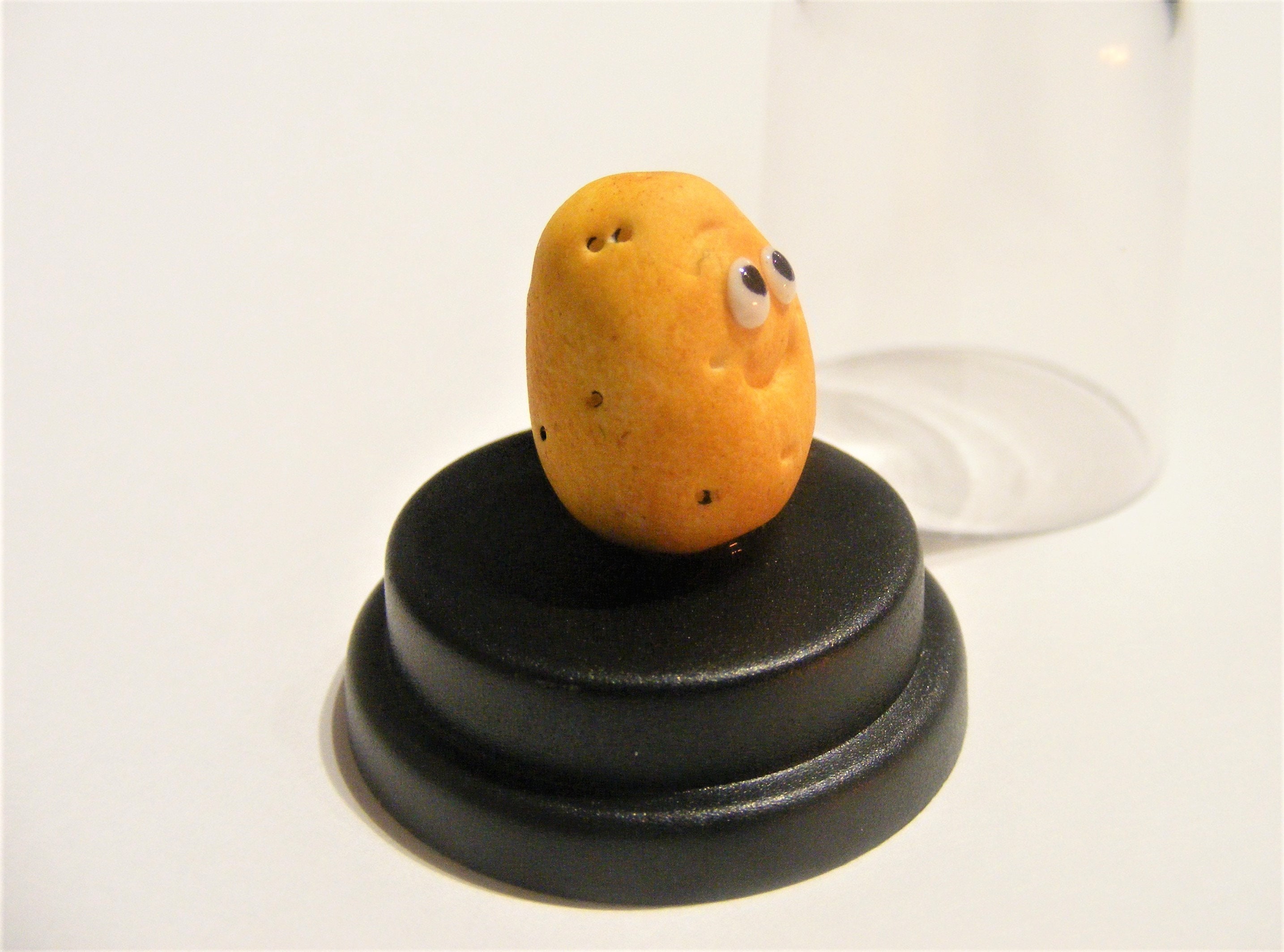 Potato Pet © Pet Spud Potato Gift Ireland Gift Irish Etsy Australia