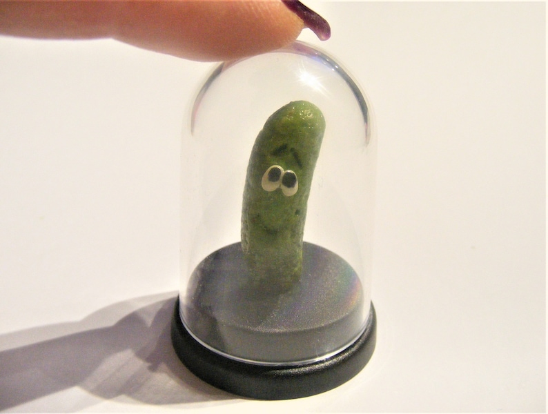 Dill Pickle Pet © Gherkin Pickle Pet © Pregnancy announcement Pickled gherkin novelty gift dashboard gift desk top gift Funny gift image 4