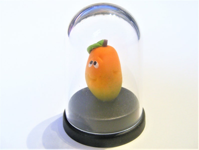 Mango Pet © Mango gift birthday gift Best friend gift Etsy