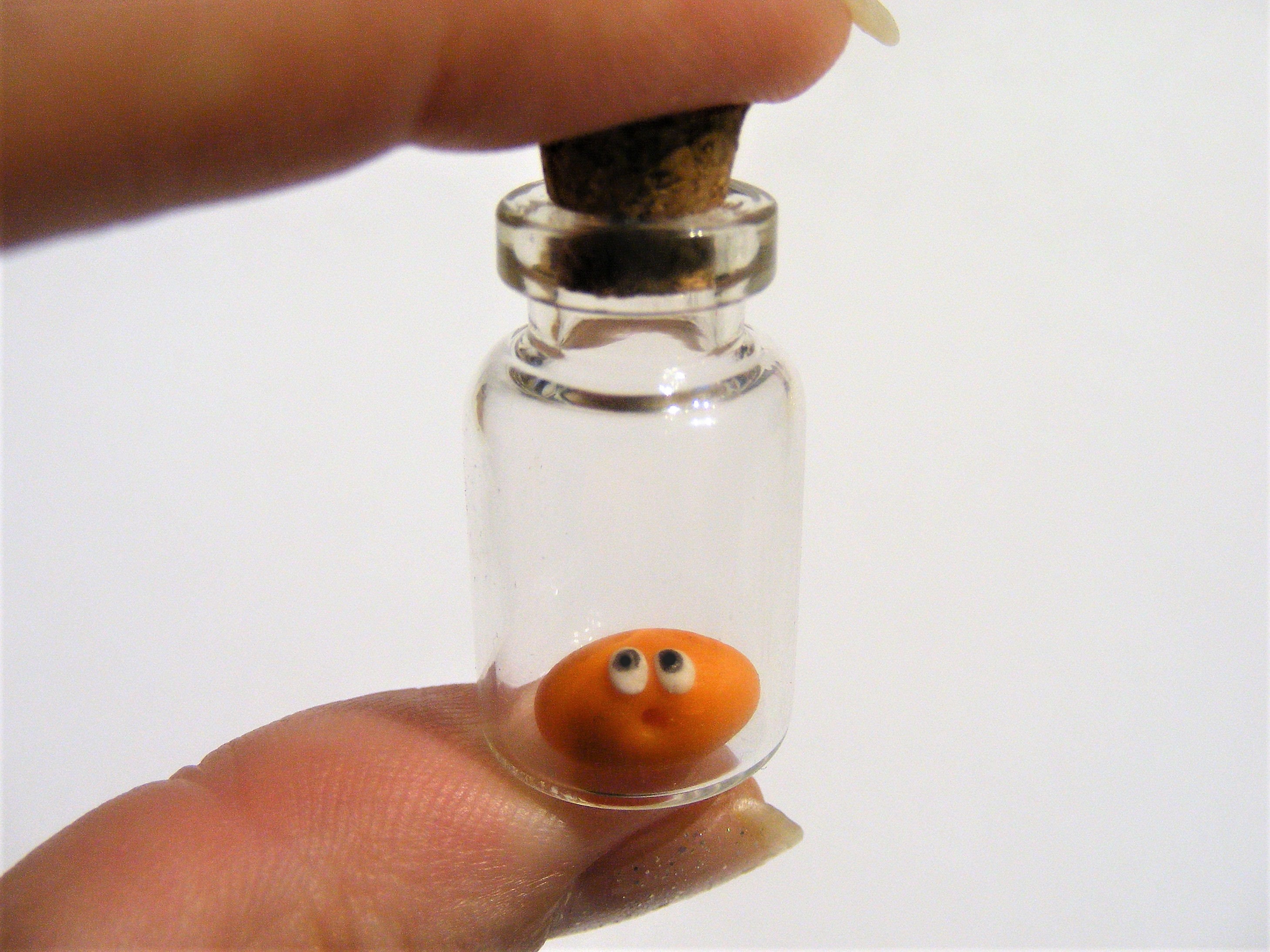 Baked Bean Pet © Best Friend Gift Birthday Gift Gift for Etsy UK