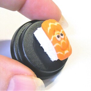 Sushi Pet © Cadeau sushi Tranche de sushi Nigiri sushi Cadeau pour cuisinier Cadeau pour lui Cadeau pour elle Cadeau nouveauté Cadeau mignon Cadeau de bureau Cadeau drôle