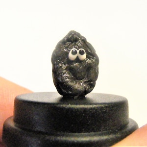 Raisin Pet © rozijnenliefhebber, veganistisch cadeau Fruitcadeau Vegetarisch cadeau Bff-cadeau Comedycadeau Nieuwigheidscadeau Leuk cadeau Bureaucadeau Grappig cadeau Vriend