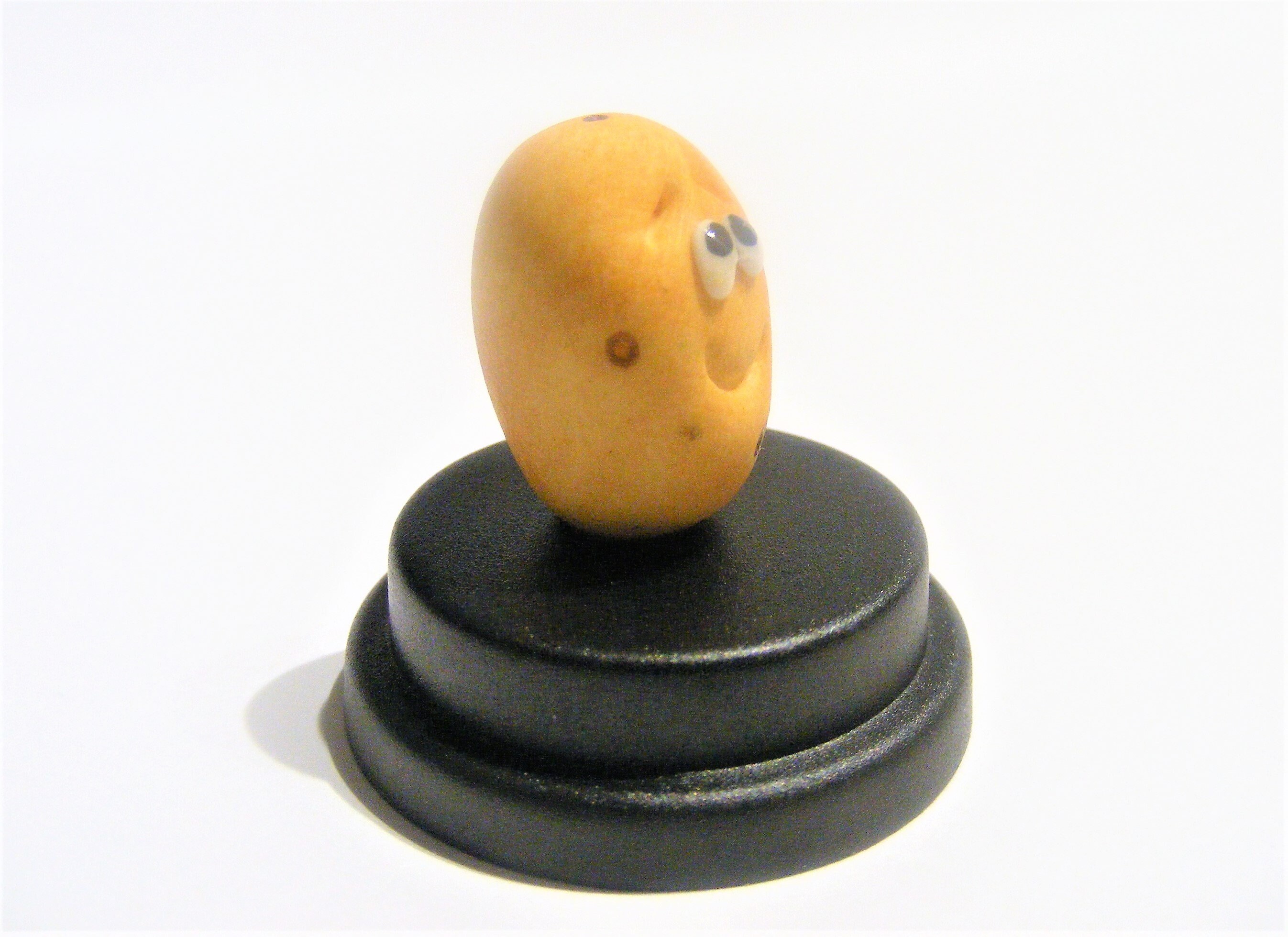 Potato Pet © Pet Spud Potato Gift Ireland Gift Irish Etsy Australia