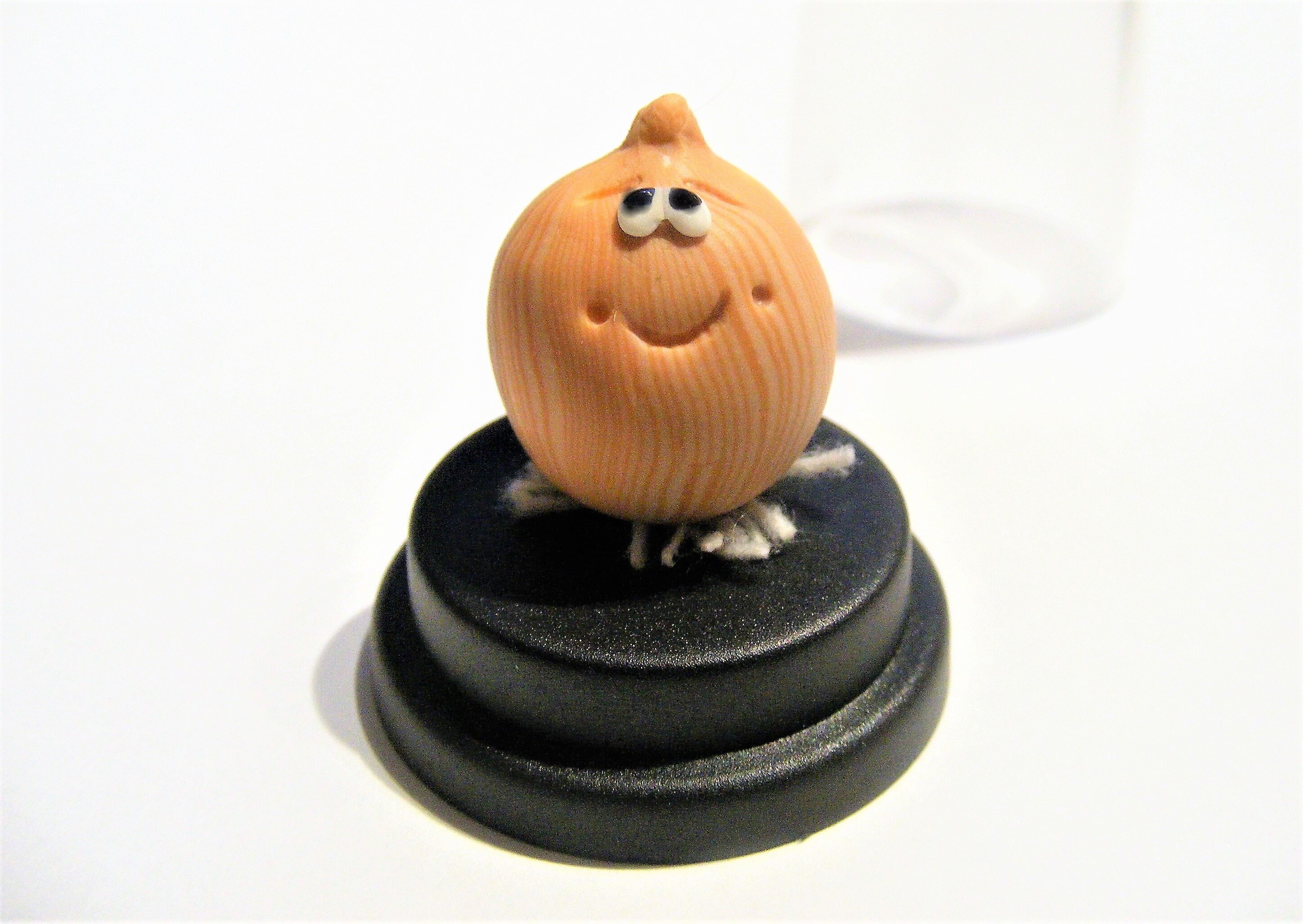 Onion Pet © Pet veg veggie lover gift for gardener bff Etsy