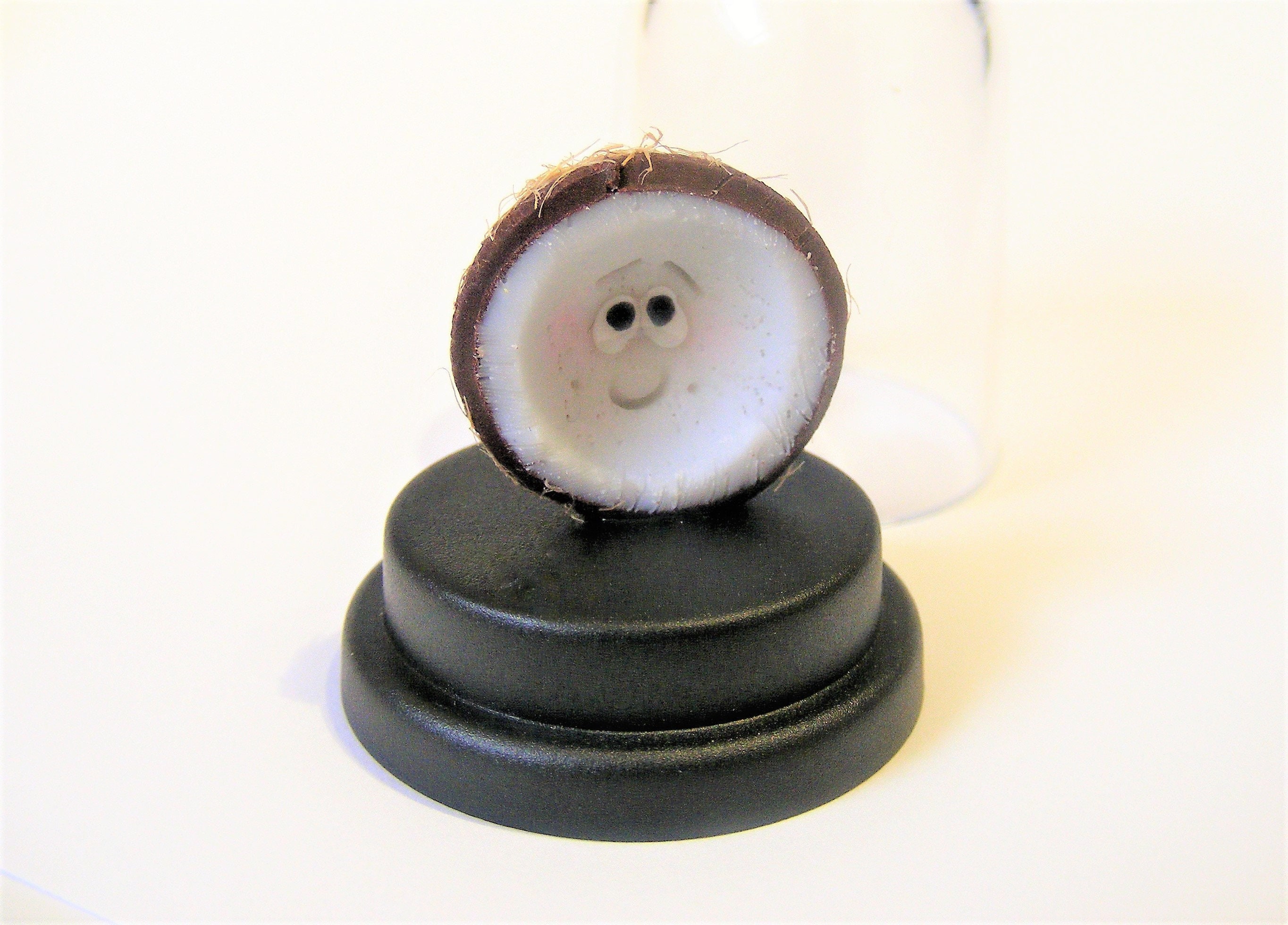 Coconut Pet Coconut gift Vegan gift Vegetarian gift Fruit Etsy