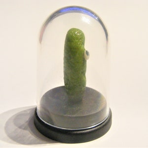 Dill Pickle Pet © Gherkin Pickle Pet © Pregnancy announcement Pickled gherkin novelty gift dashboard gift desk top gift Funny gift image 10