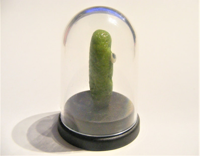 Dill Pickle Pet © Gherkin Pickle Pet © Pregnancy announcement Pickled gherkin novelty gift dashboard gift desk top gift Funny gift image 10