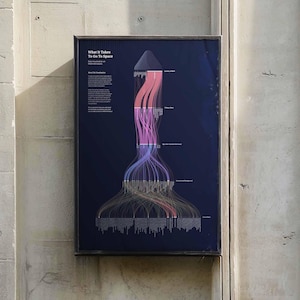May include: A framed poster titled What It Takes To Go To Space featuring a dark blue background with a flow chart graphic. The chart uses pink, purple, and blue lines to visualize data about NASA astronauts, including country of birth and military rank.
