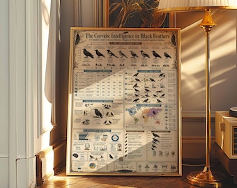Plakat z ptakiem krukowatym w stylu vintage | Edukacyjna grafika ścienna z krukiem | Infografika ornitologiczna | Wystrój Dark Academia | Oprawiony wydruk na płótnie