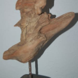 Driftwood Sculpture from the Pacific Northwest