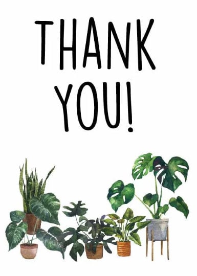 Plant Thank You Printable Card Instant Digital Download, Houseplant ...