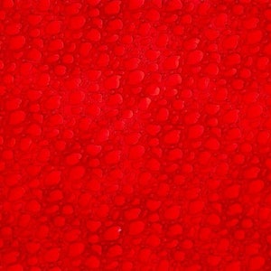 Red Pebbles Fabric – One Bizillion B.C. Collection | Sold by the Yard