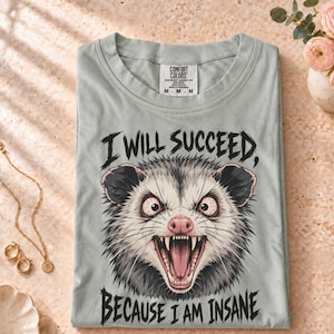 Peut inclure: Un t-shirt gris clair avec une illustration d'un opossum hargneux aux yeux écarquillés et à la gueule ouverte. Le texte au-dessus de l'opossum indique I WILL SUCCEED, et le texte en dessous indique BECAUSE I AM INSANE. Étiquette Comfort Colors.