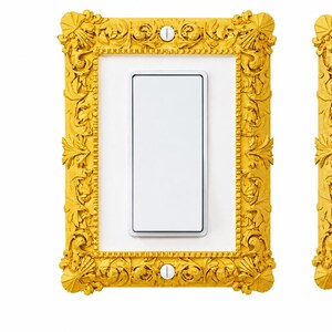 Baroque Frame Switchplate Cover