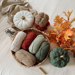 May include: A seasonal display with a white ceramic pumpkin, knitted pumpkins in brown, green, and red, and a basket of yarn. The scene includes autumn leaves and a cinnamon stick. The yarn skeins are in various colours, creating a warm, autumnal feel.