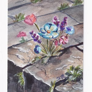 May include: A watercolour painting depicting a cluster of colourful flowers, including blue, pink, and purple blossoms, growing from the cracks of grey stone paving slabs. The artwork features green foliage and the initials SM in the bottom right corner.