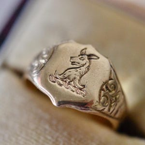 Antique 1909 9k Gold Armorial Shield Signet Seal Ring, Edwardian English Wolf&#39;s Head Erased Ring, Size 8 1/4