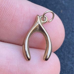 May include: A gold-colored wishbone charm with a loop for attaching to a necklace or bracelet.