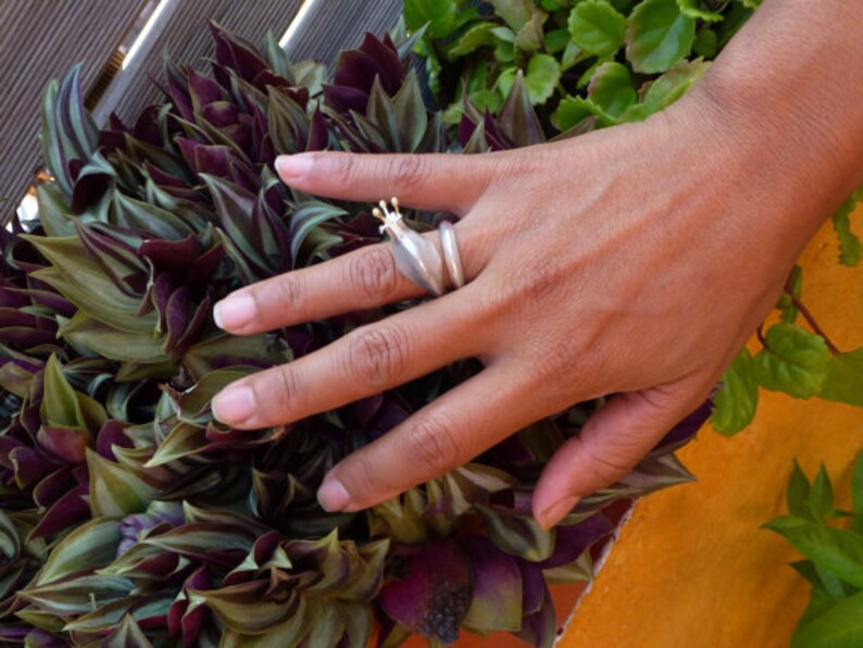 May include: A silver ring with a crown design on the top. The ring is on a person's finger and the background is a green plant.