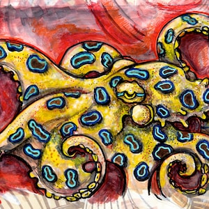 Blue Ringed Octopus, Artwork, Ocean Art, Print for Bathroom, Art Print