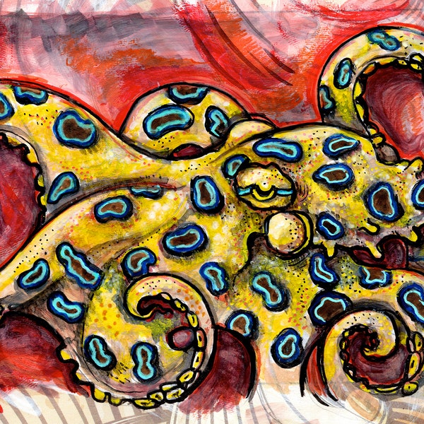 Blue Ringed Octopus, Artwork, Ocean Art, Print for Bathroom, Art Print