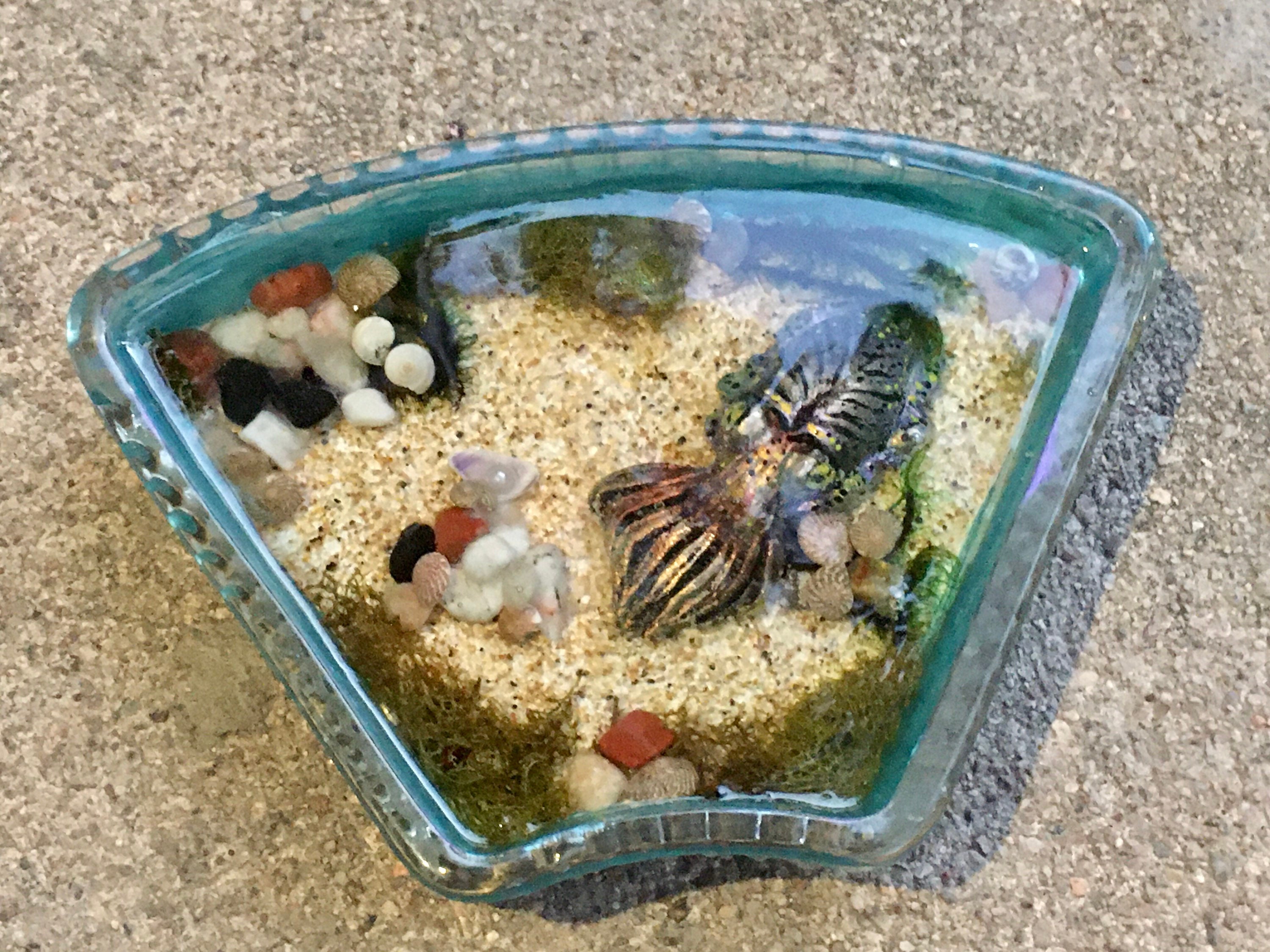 Cuttlefish Sculpture, Ocean Art, Resin Art, Cuttlefish, Handmade Art