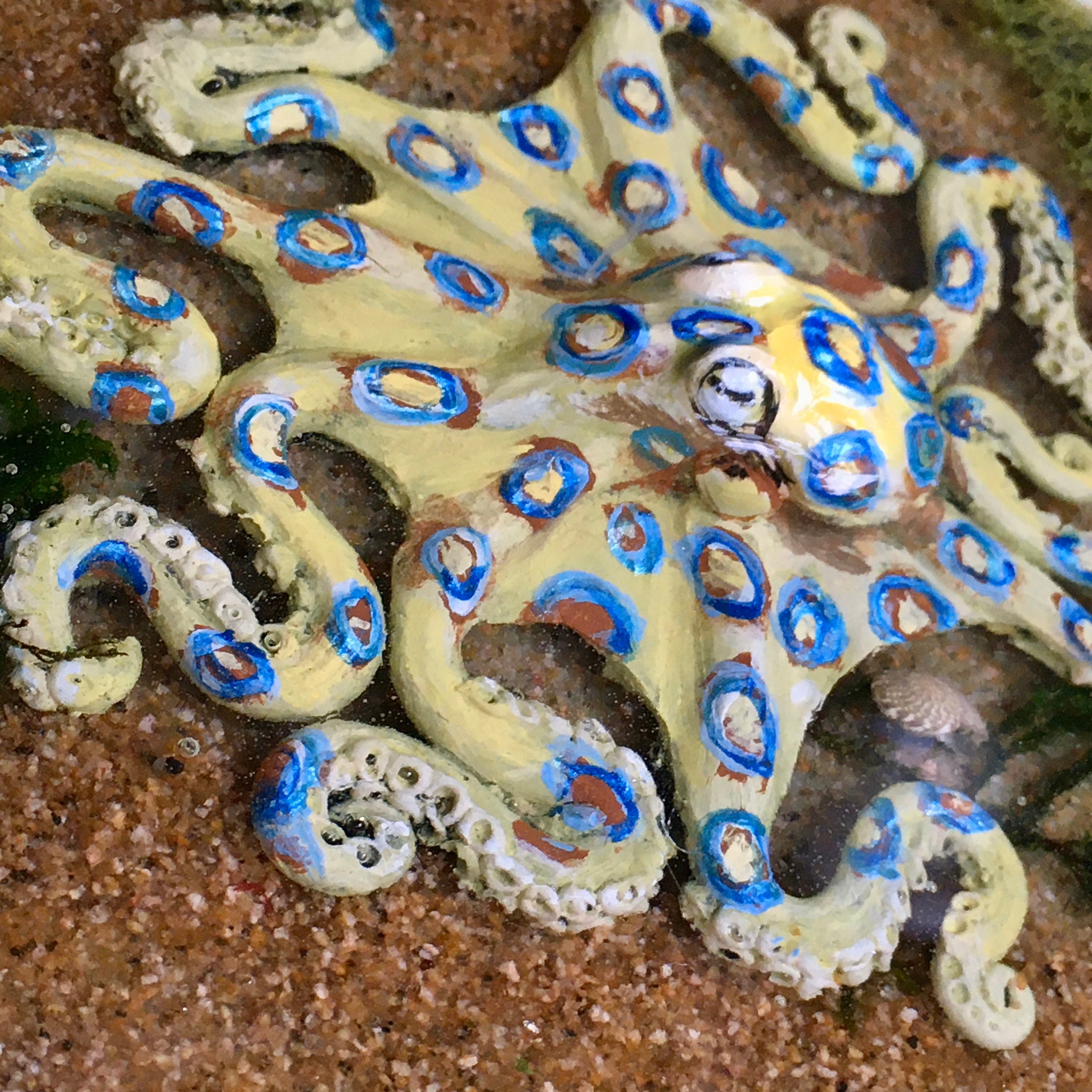 Octopus Sculpture, Blue Ringed Octopus,Resin Art, Octopus, Handmade Art