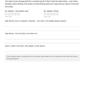 May include: A black and white printed journal page titled Halfway: a quick re-audit. It includes sections for energy tracking, identifying energy drains and refills, and setting goals for the next two weeks, with a note about gentle progress.